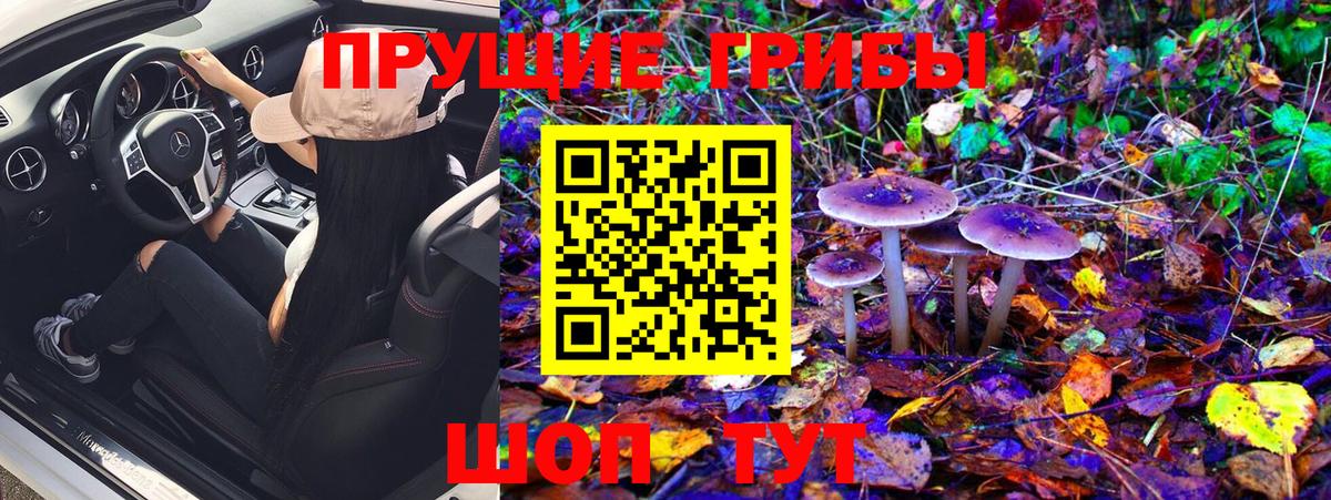 Галлюциногенные грибы MAGIC MUSHROOMS  Вход с VPN  Кириши 