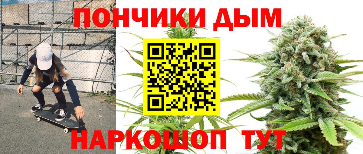 Бошки Шишки планчик Кириши